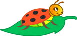 ladybug-blinking