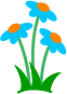 flowers-blue-growing2